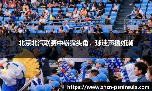 半岛体育公司