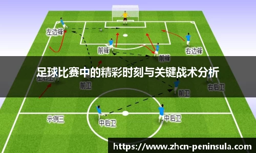 半岛体育公司